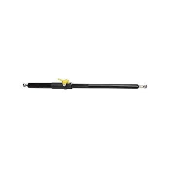 Amazon.com: STRUT AND HOOD ASSIST A99609 Locking, T680